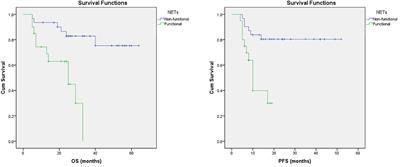 Predicting the survival probability of functional neuroendocrine tumors treated with peptide receptor radionuclide therapy: Serbian experience